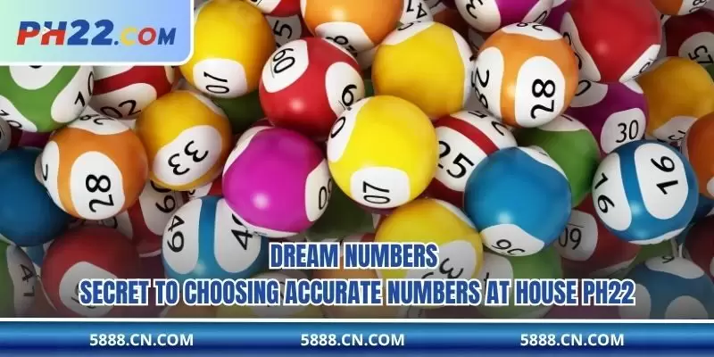 Dream Numbers