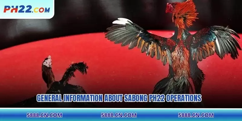 General information about Sabong PH22 operations