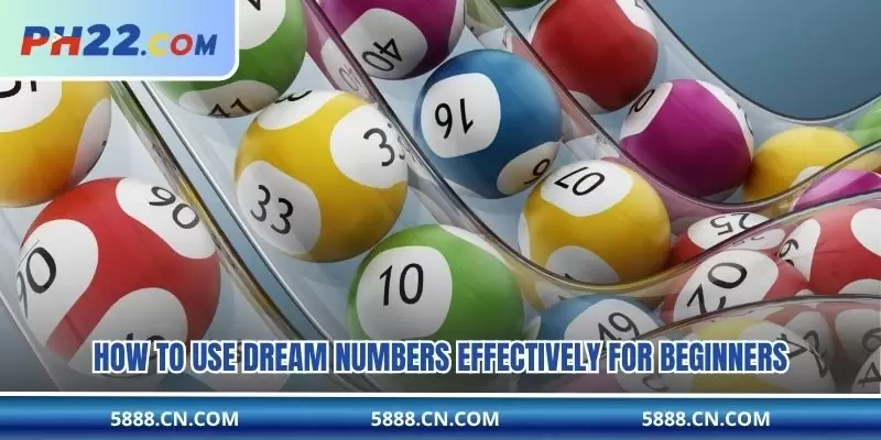 How to use dream numbers effectively for beginners