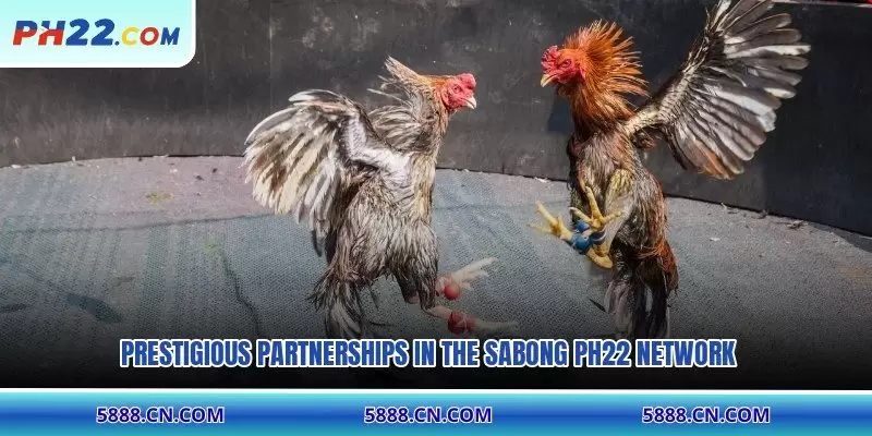 Prestigious partnerships in the Sabong PH22 network