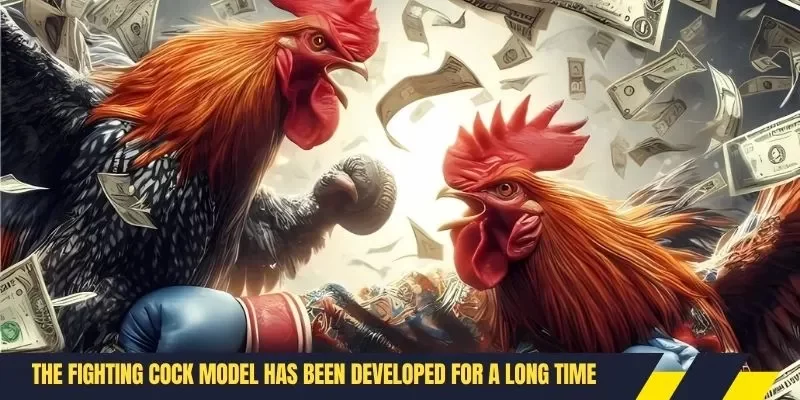 The fighting cock model has been developed for a long time