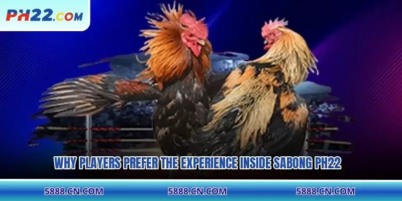 Why players prefer the experience inside Sabong PH22