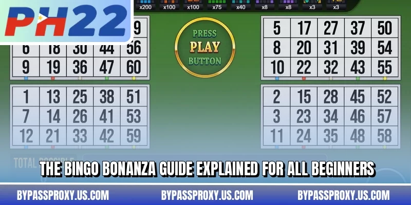 The Bingo Bonanza guide explained for all beginners